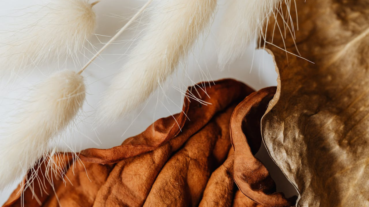 Earthy Tones & Organic Textures